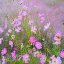 논공(대구) 이미지