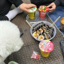 스코닉 미니 핸디 손풍기로 여름 준비 완료! 휴대용 냉각 선풍기 추천