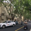 [TRAVEL ✈️ ] 상하이 로맨스 3일차 (우캉맨션, 티엔즈팡, 홀리랜드, 미니소, 따룬파 마트)