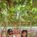 희민농장 이미지