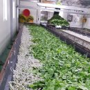 김영칠농장 이미지