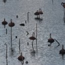 객주문학관 이미지