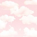 제이씨드 | [후기] 영화 <너바나 더 밴드 : 전설적 밴드 ‘너바나...더 밴드’의 콤비 맷과 제이. 어느 날 공연을...