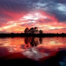 꿈속여행 이미지