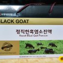 정직한흑염소 이미지