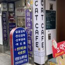 이영란스킨케어 | 남포동피부관리 40년 경력 원장님이 해주시는 얼굴경락 받고 갸름해진 후기 이영란코스메틱