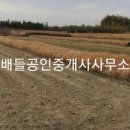 대서면사무소 이미지