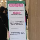 11월 문화가 있는 날 콘서트 클래식으로 만나는 명작 애니메이션 | 라이온킹 30주년콘서트 경희대 평화의 전당에서 공연관람 하쿠나마타타