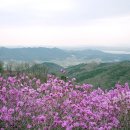 고려산 이미지