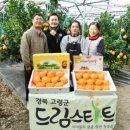 트리앤팜 이미지