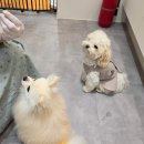 멍스월드 이미지