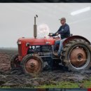 광이농장 이미지