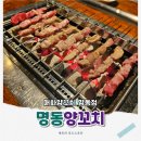 남산숯불생고기 | 명동 양갈비 가성비 맛집 부드럽고 육즙 가득 매화양꼬치