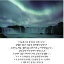 신기한 생명체- 풍경 이미지