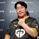 팀딜라이트