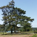 평촌마을 이미지