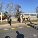 활보농장 이미지