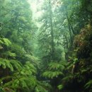 젖소목장 이미지