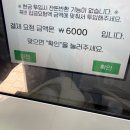 G1모터스 | 2026 고양국제꽃박람회 방문 후기