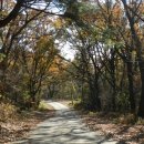 한우물농로 이미지