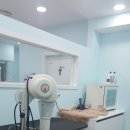 멍멍아 스파가자 이미지