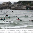 샘솟는협동조합