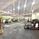 바디나믹 이미지