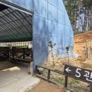 관보농장 | 대관령 아기동물농장에 다녀왔어요~