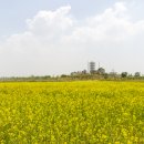 매향리 평화생태공원 이미지