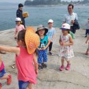 광명초등학교 이미지