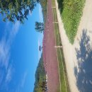 은성식육식당 | 💐[경남 합천]아이와 가볼만 한 곳 합천 핑크뮬리 명소 총정리｜개화시기·여행코스·맛집까지🍖