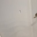 예림정비 이미지