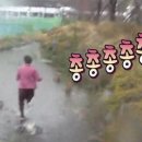 정가네포차 네이버블로그