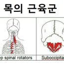 뒷골2로4 이미지
