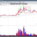 일성인베스트먼트