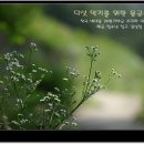 몽금포 이미지