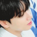 썸머드림