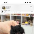 햄스팟