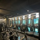 에스핏 피트니스 시청3호점 | [평택헬스/평택PT]에스핏 피트니스 시청3호점 소개