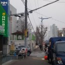 사파동266 이미지