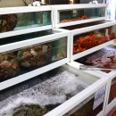 파도대게 이미지