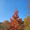 화명수목원 화장실 이미지