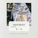 (가격정보 있음) 셀린스냅 추천 후기 ! 아이폰스냅 계약시 주의사항까지