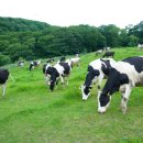 토평목장 이미지