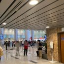 베트남 다낭 공항 입국 패스트트랙 서비스 실제 대기시간 가격 예약방법 보다홀릭 후기