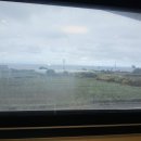 힐링하우스펜션 이미지