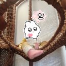 신나는 책 놀이터(2기) | 남양주 주말에 아이와 가볼만한곳 [놀자람] 주말 실내 놀이터 다녀온 솔직 후기