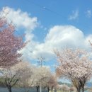 포도송이펜션 이미지