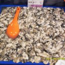 부일상회 이미지