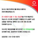 영캐쥬얼 이미지
